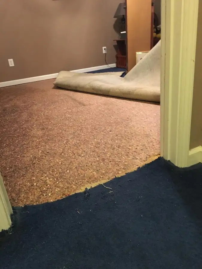 Carpet pad removal revealing water damage during Water Mitigation Services in Germantown