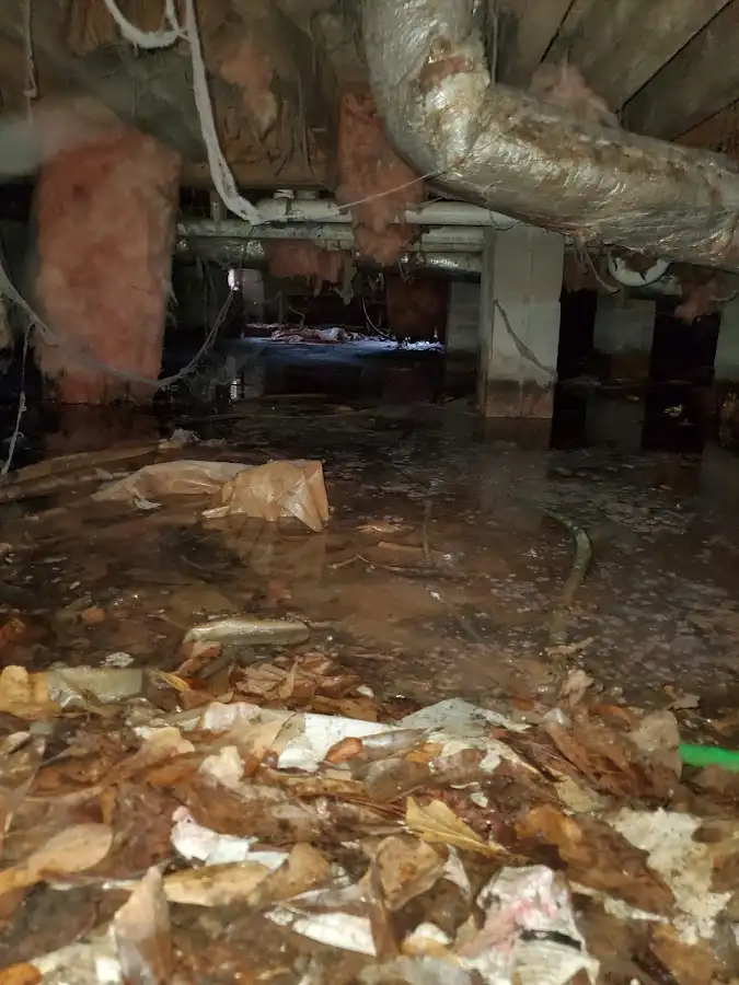 Crawl space flood assessment for Leak Detection & Repair in Germantown