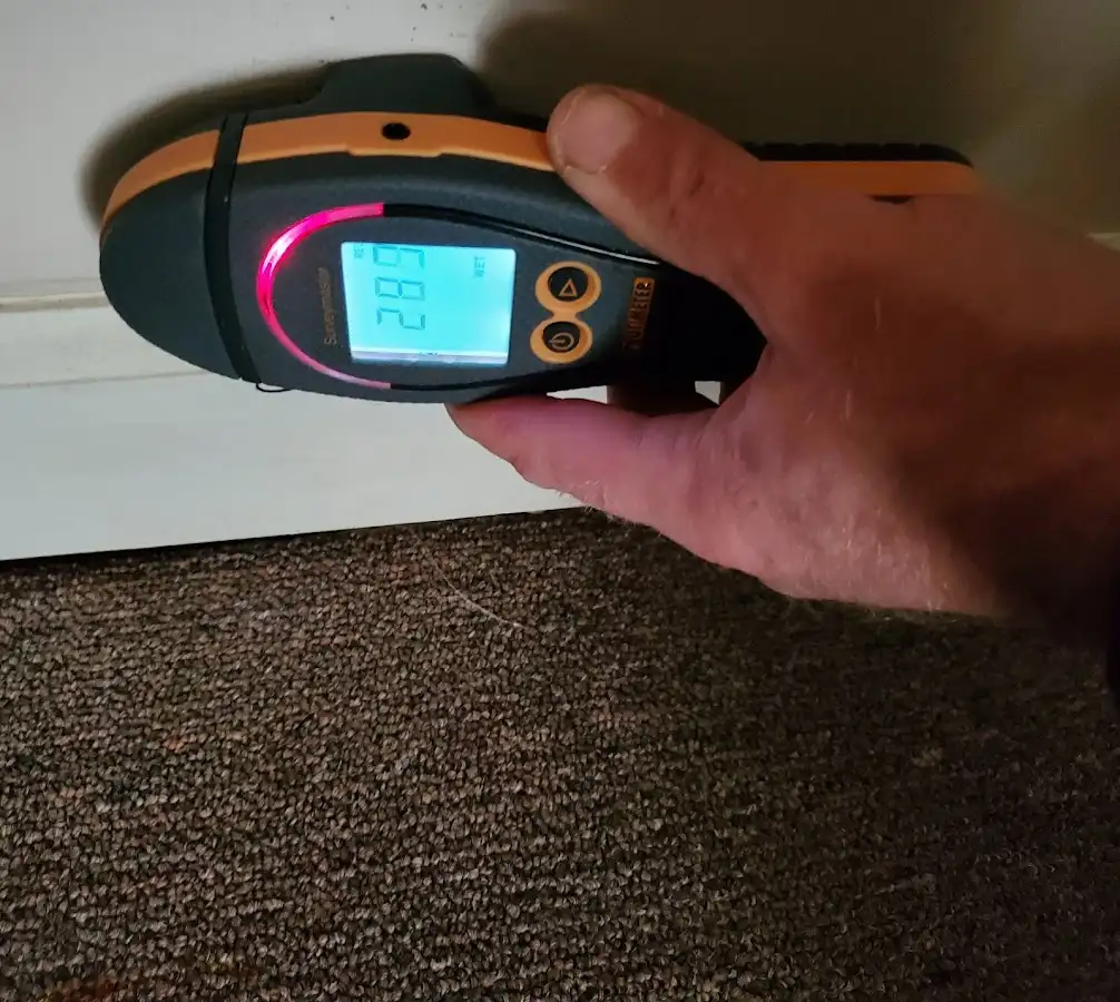 Moisture detection at baseboard during Mold Inspection & Testing in Germantown